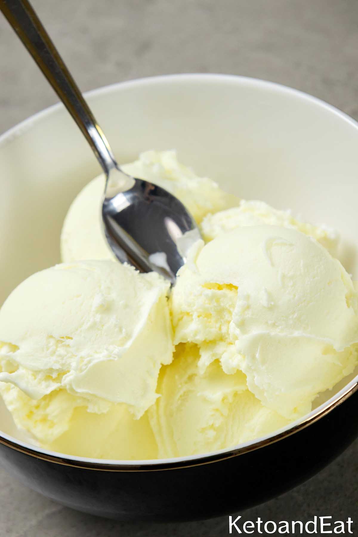 2 Ingredient Carnivore Diet Ice Cream