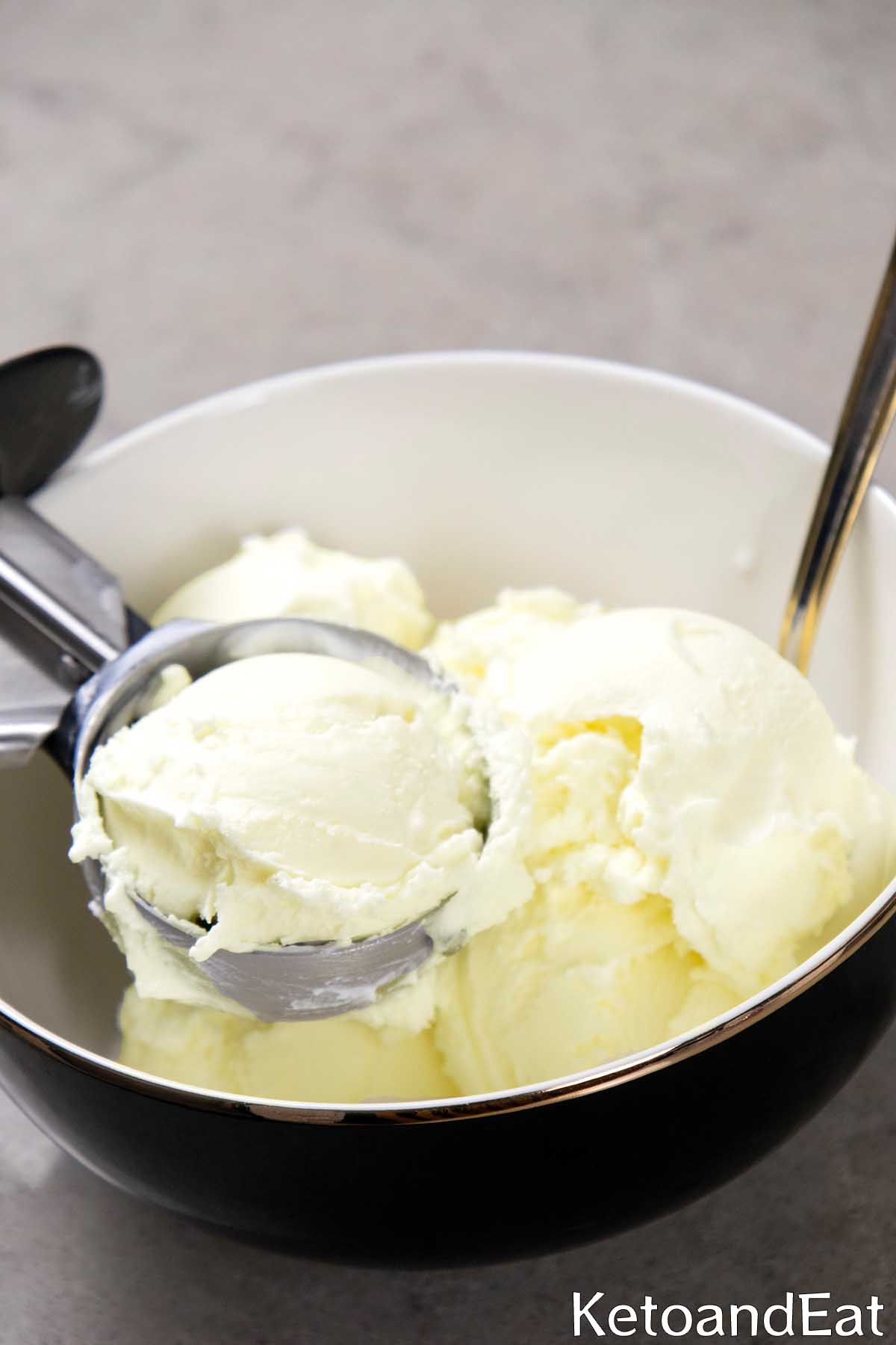 2 Ingredient Carnivore Ice Cream