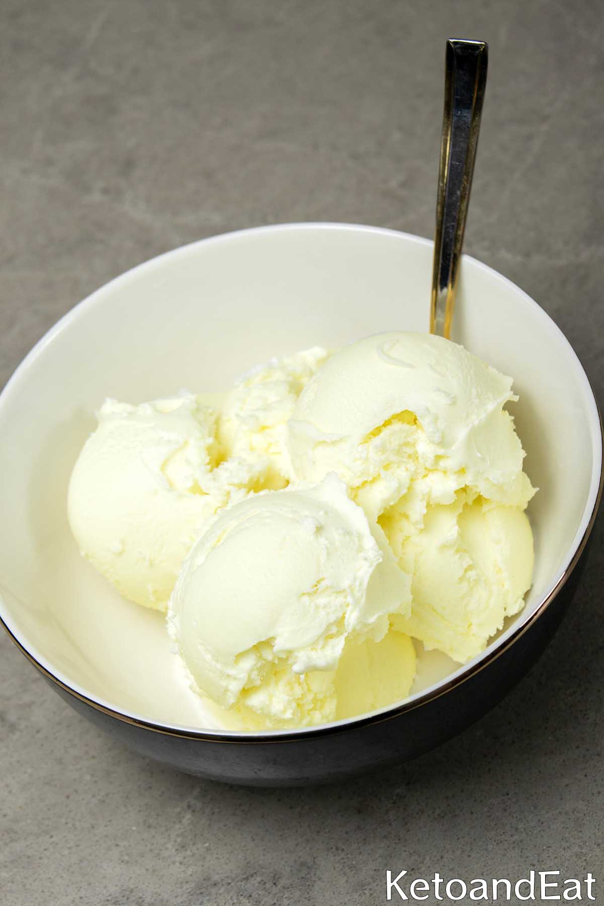 2 Ingredient Carnivore Ice Cream Recipe 
