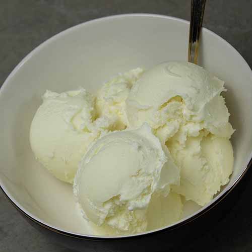 2 Ingredient Carnivore Ice Cream