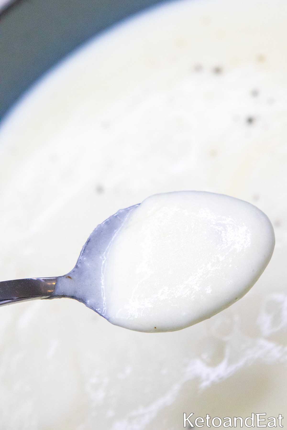 Alfredo Sauce 