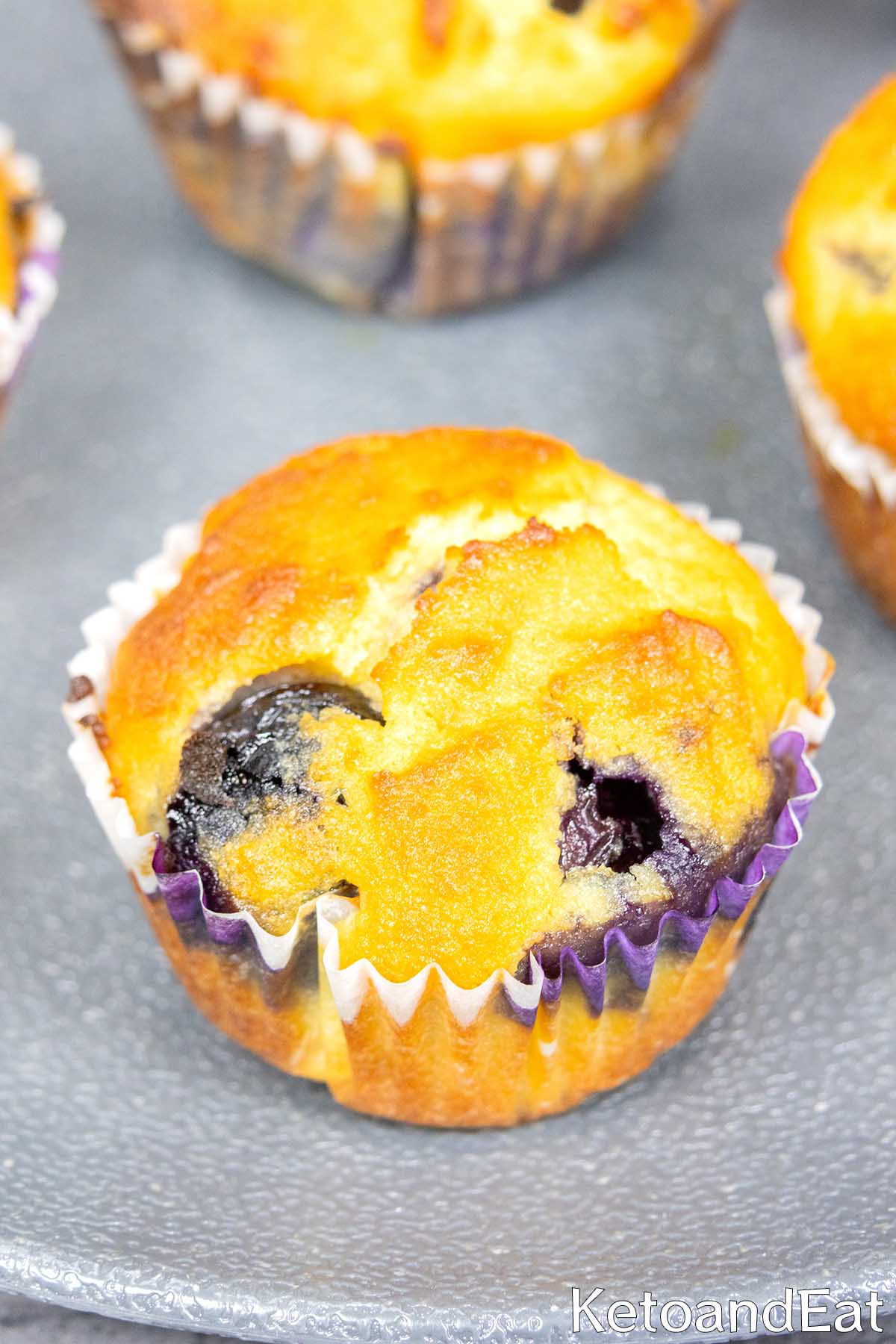 Blueberry  Muffins