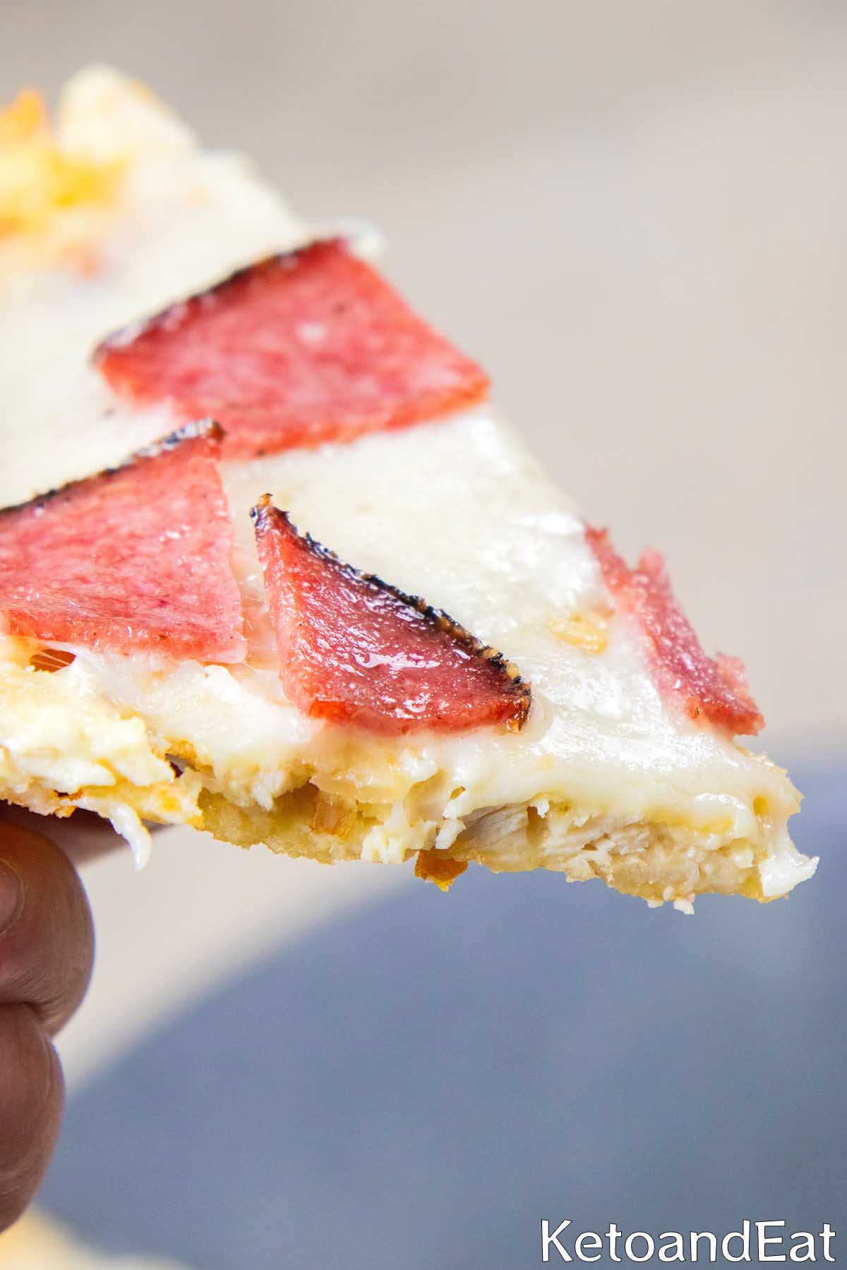 Canned Chicken Pizza Crust 