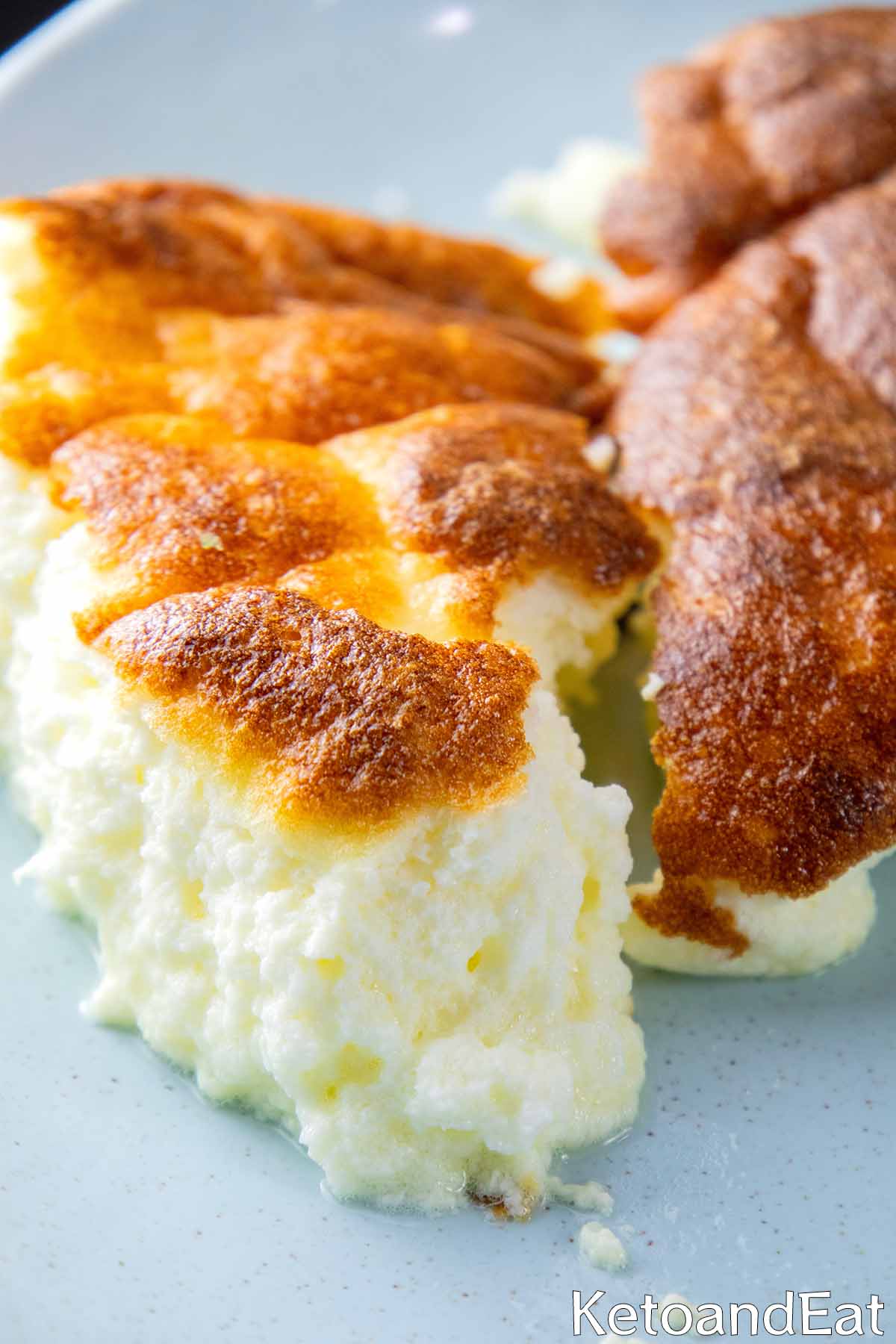 Carnivore 2 Ingredient Yogurt Cake