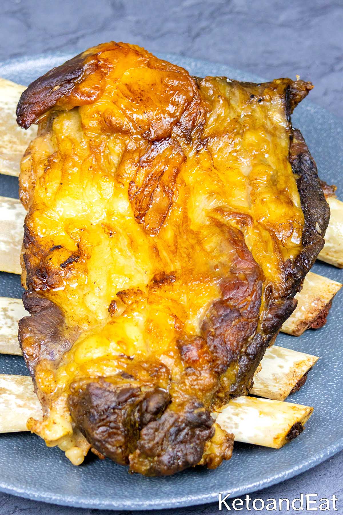 Carnivore Air Fryer Beef Short Ribs