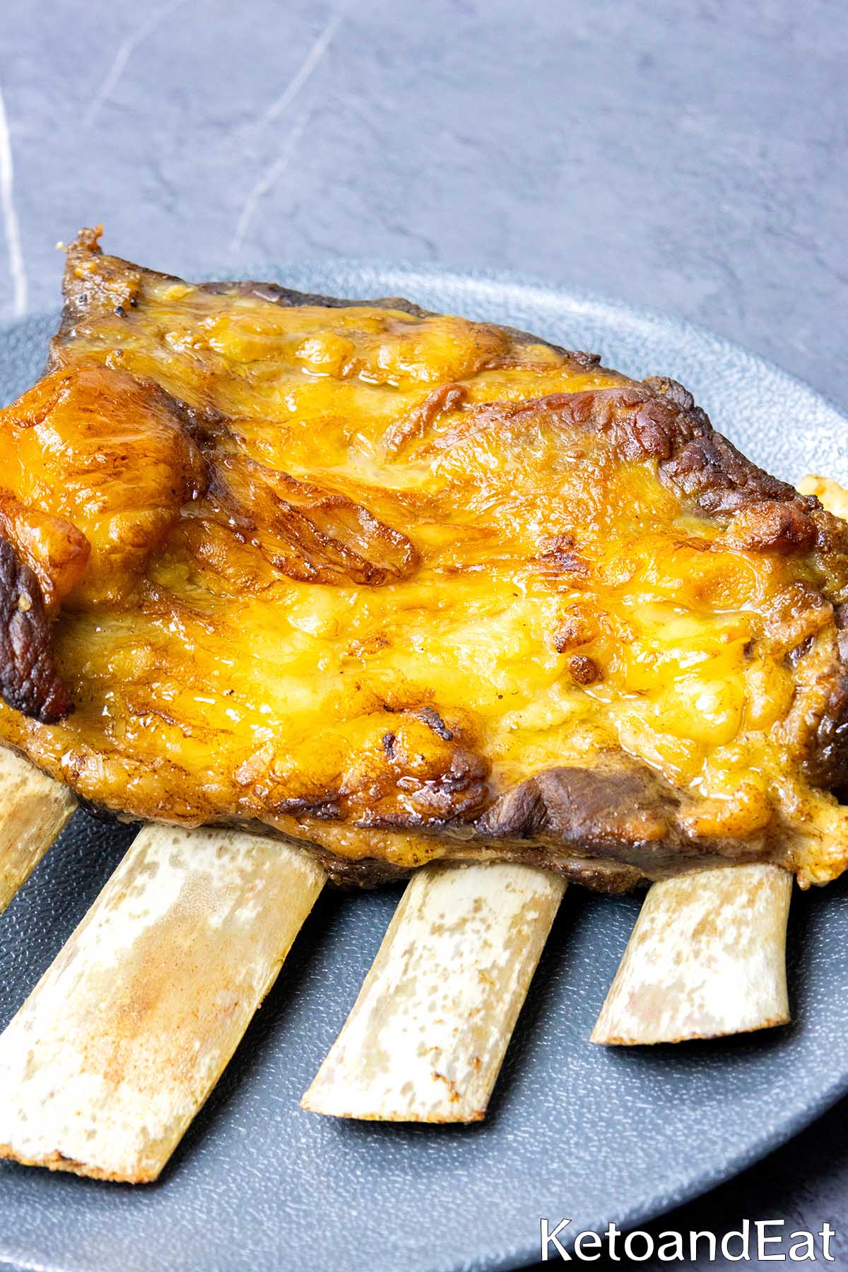 Carnivore Air Fryer Beef Short Ribs recipe