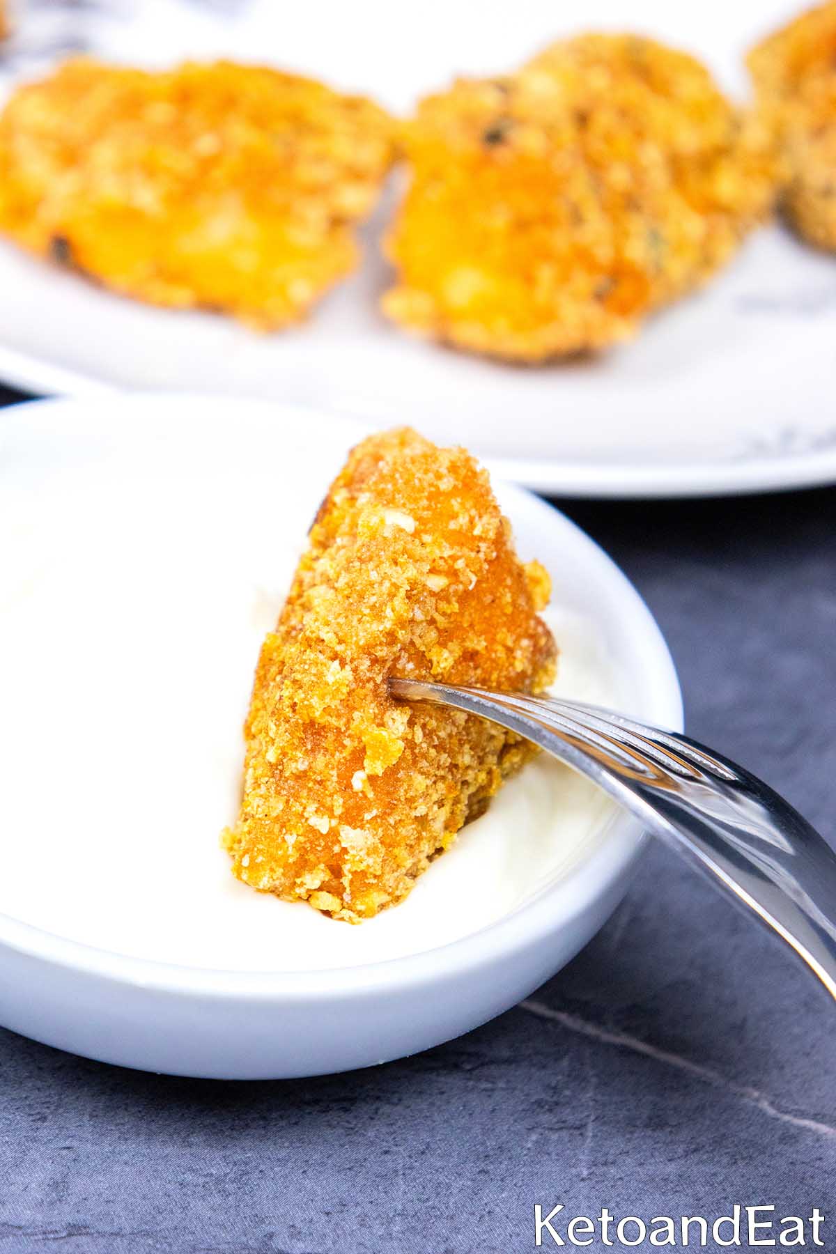 Carnivore Air Fryer Salmon Nuggets Recipe 
