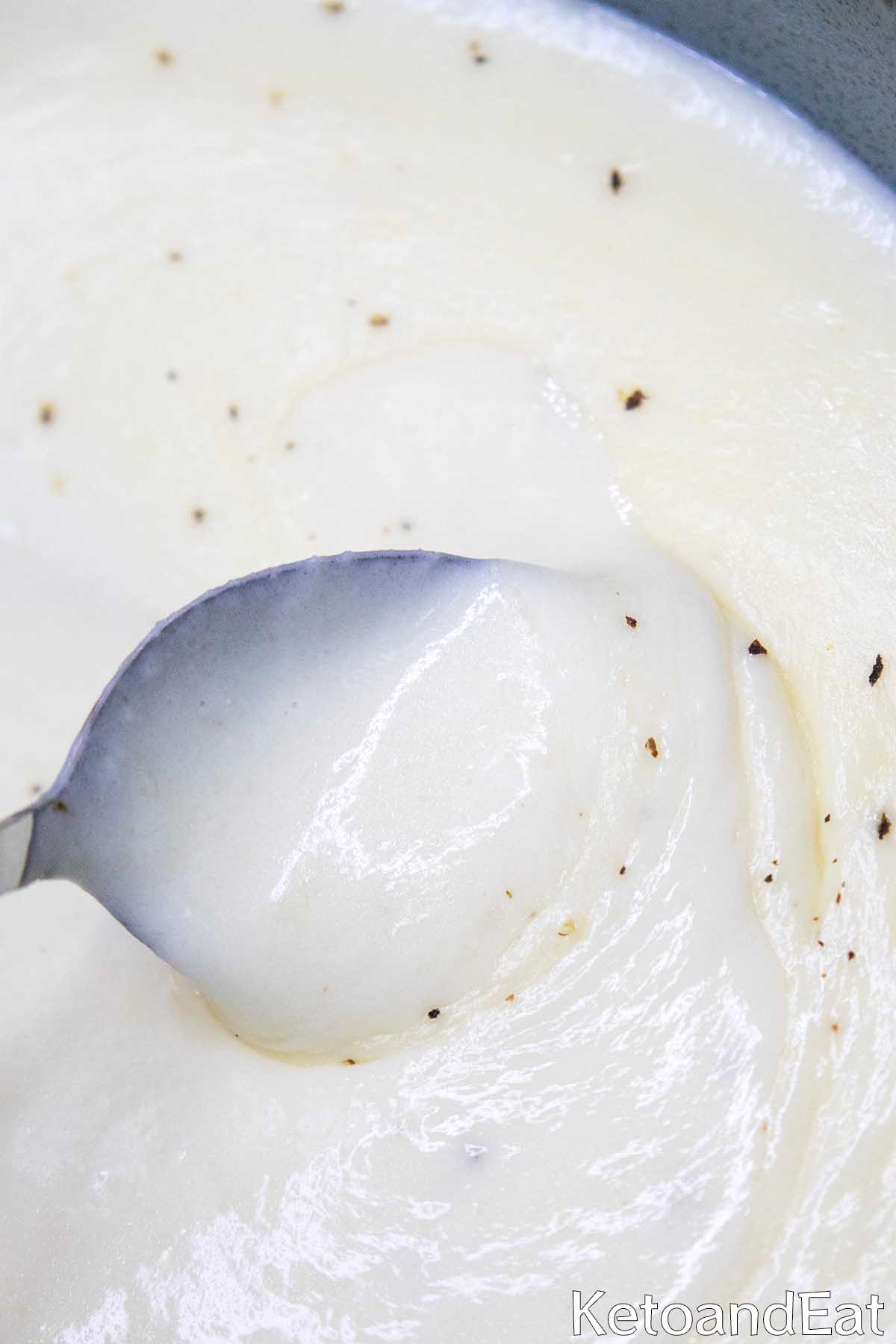 Carnivore Alfredo Sauce 