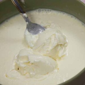 Carnivore Bavarian Cream