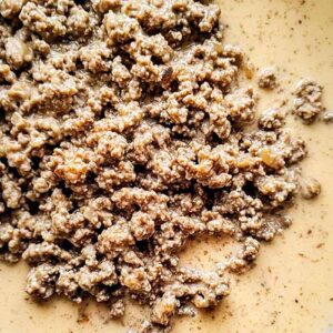 Carnivore Beef Stroganoff