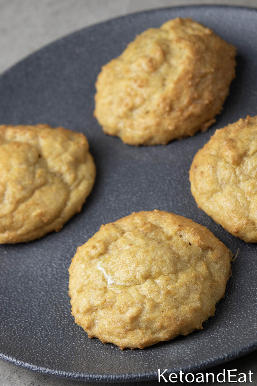 Carnivore Biscuits