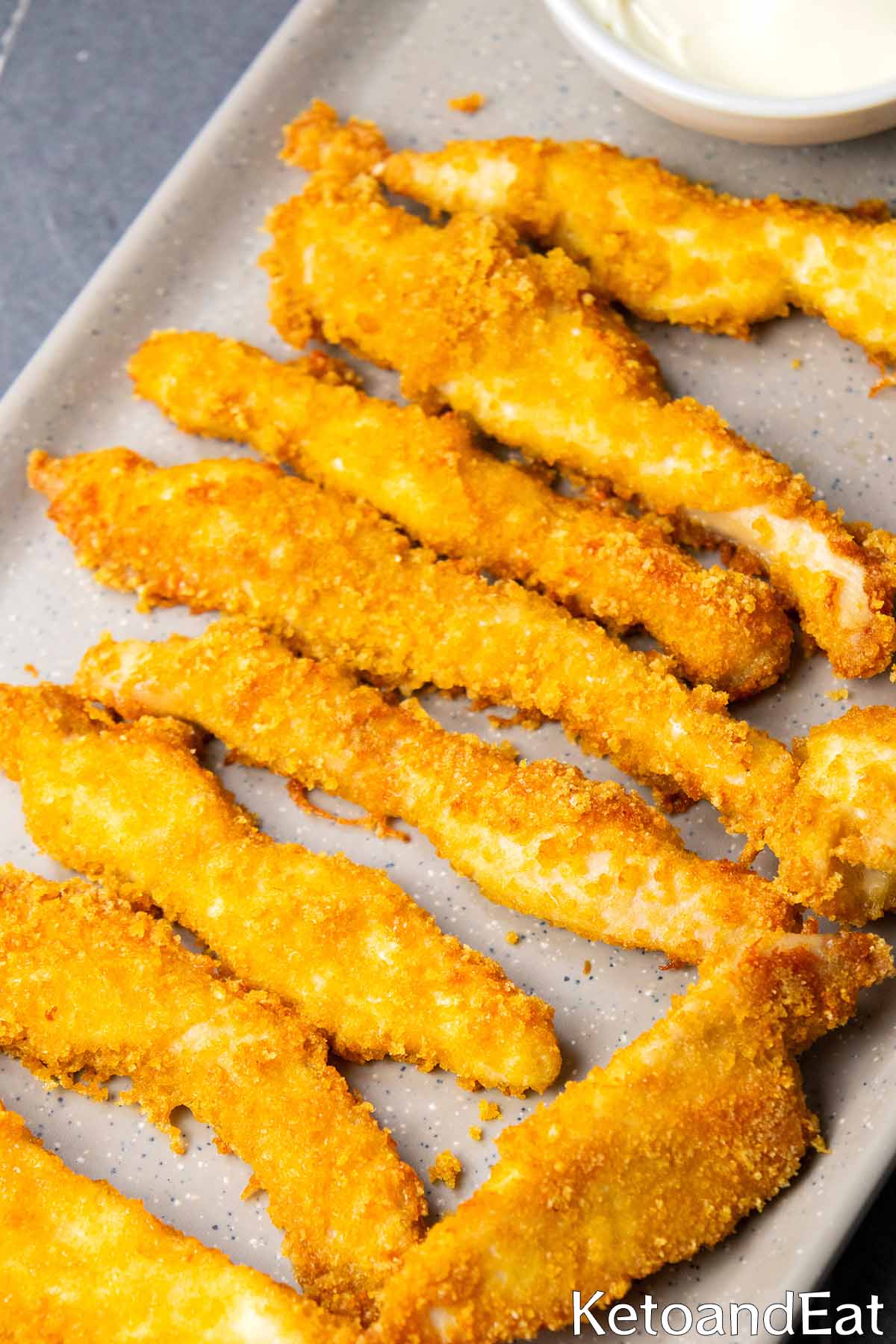 Carnivore Chicken Fries