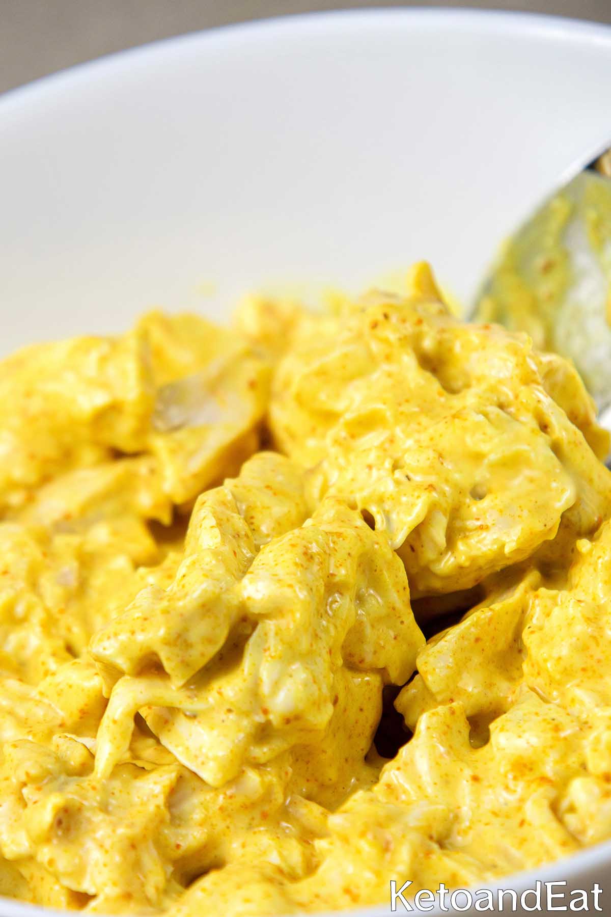 Carnivore Chicken Salad Recipe