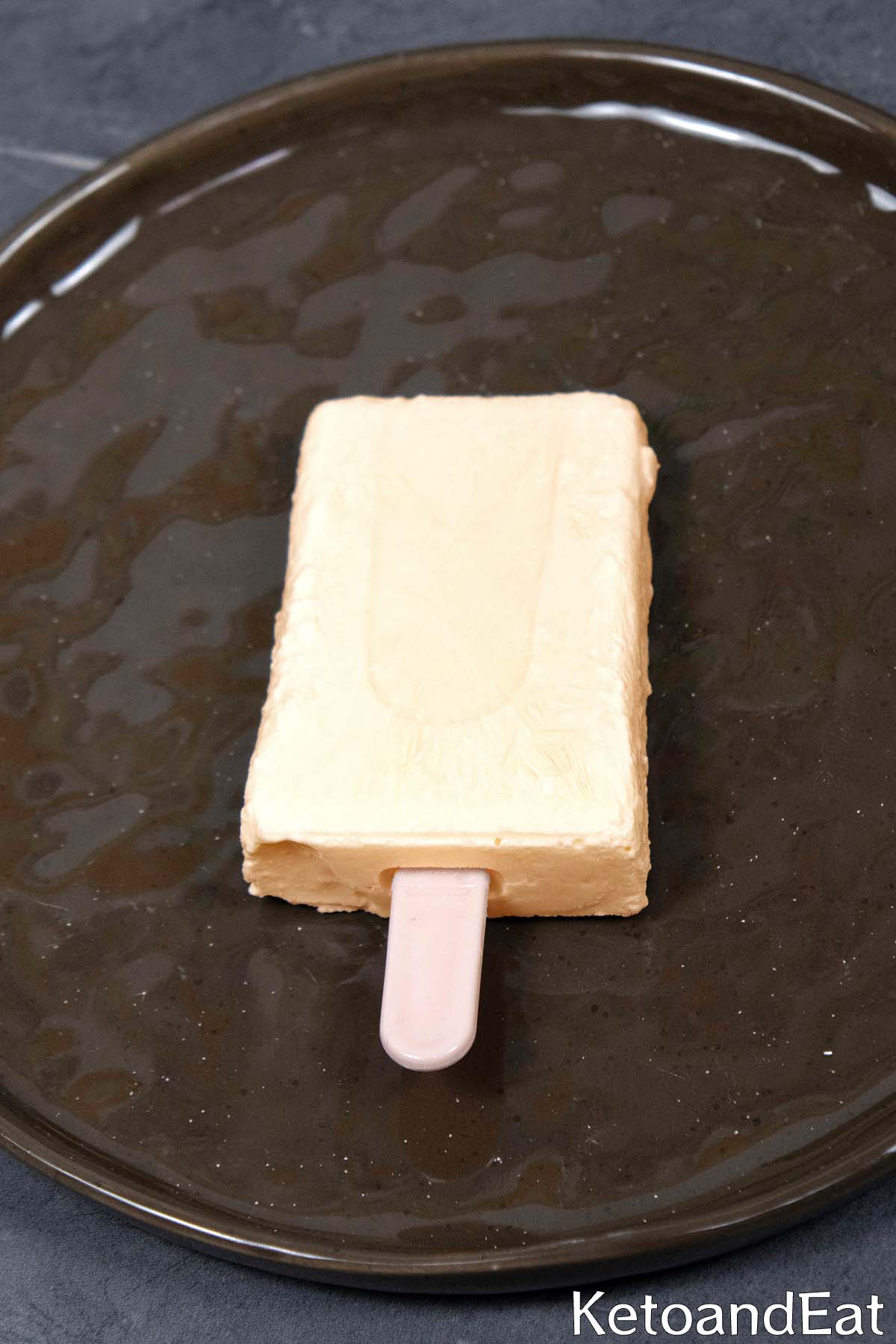 Carnivore Coffee Popsicles 