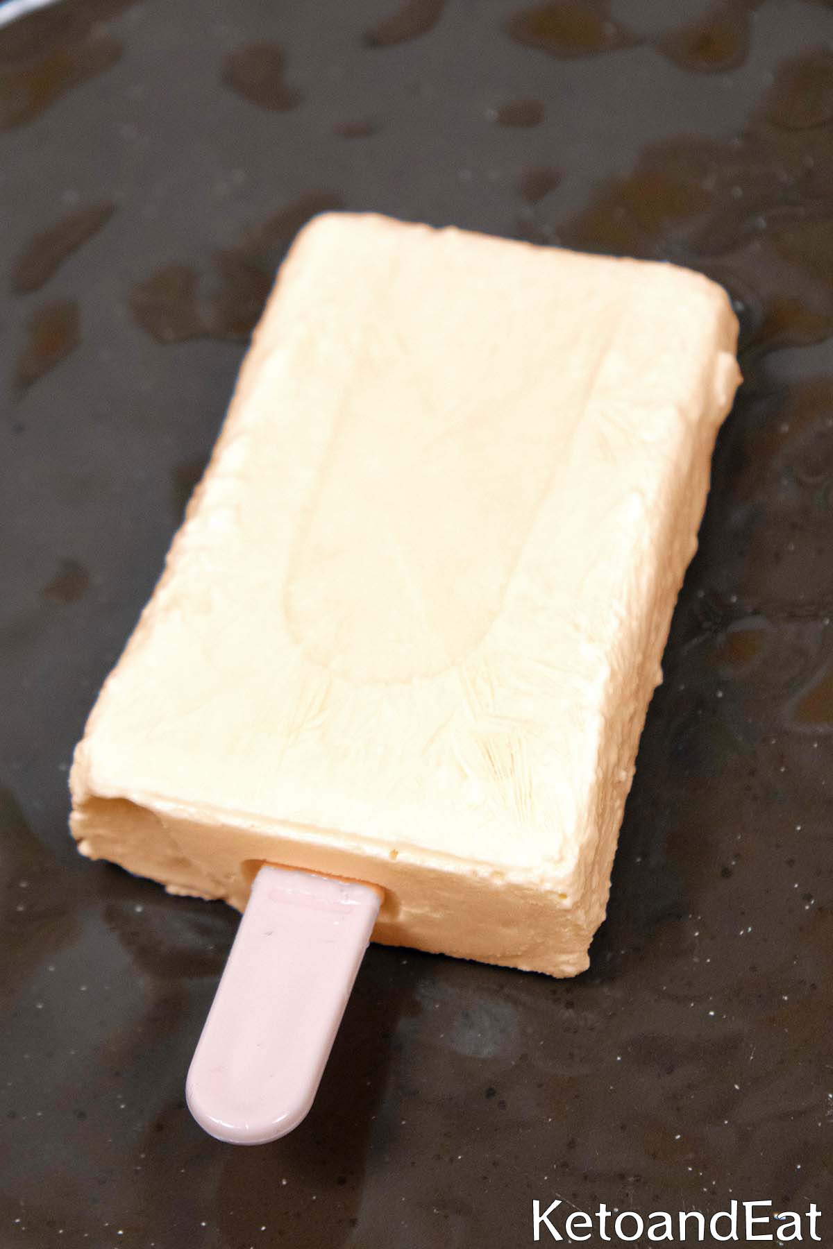 Carnivore Coffee Popsicles Recipe