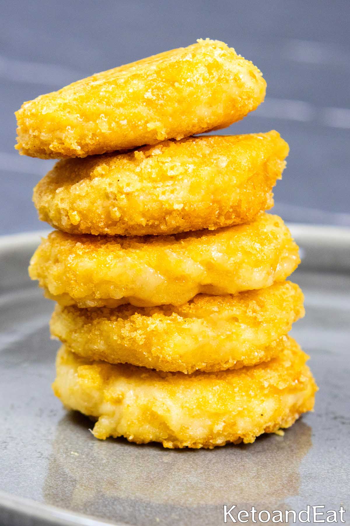 Carnivore Crispy Cheese Bites Recipes 