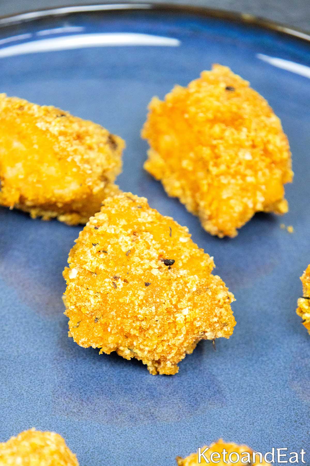 Carnivore Crispy Salmon Bites