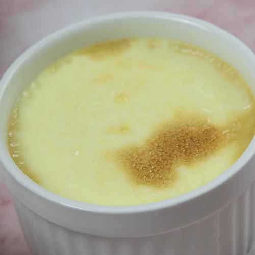 Carnivore Custard