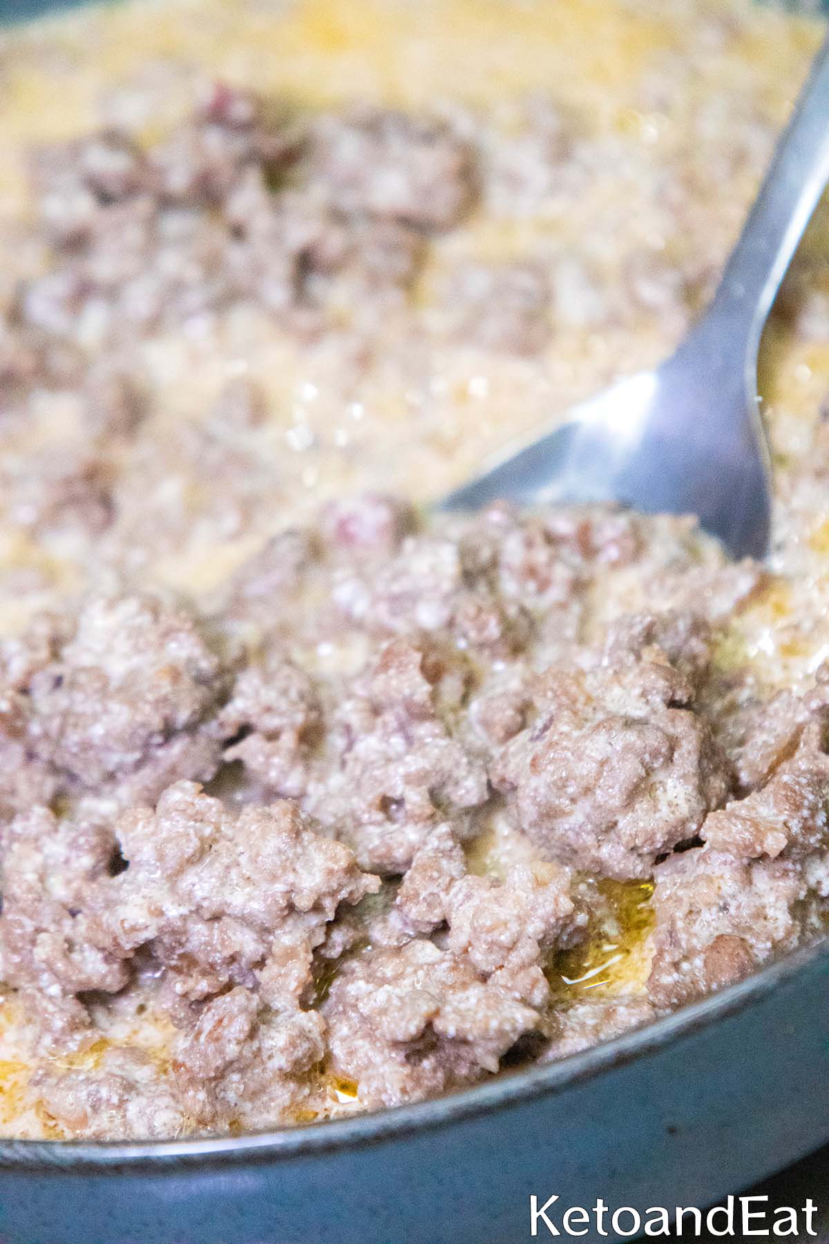 Carnivore Diet Beef Stroganoff 2