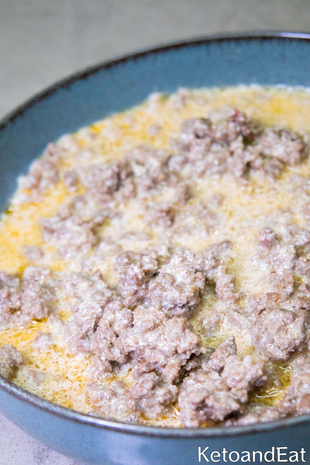 Carnivore Diet Beef Stroganoff