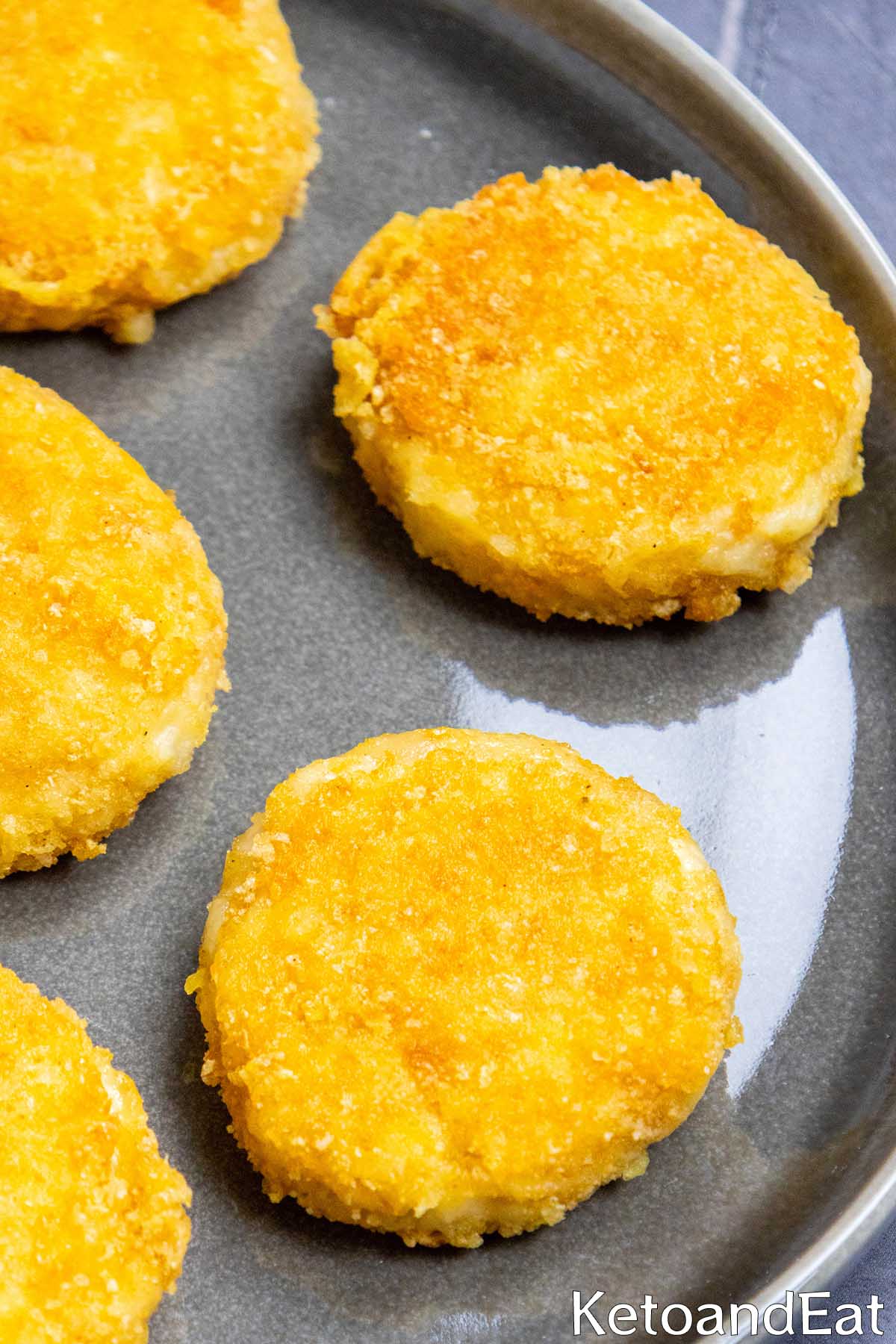 Carnivore Diet Crispy Cheese Bites