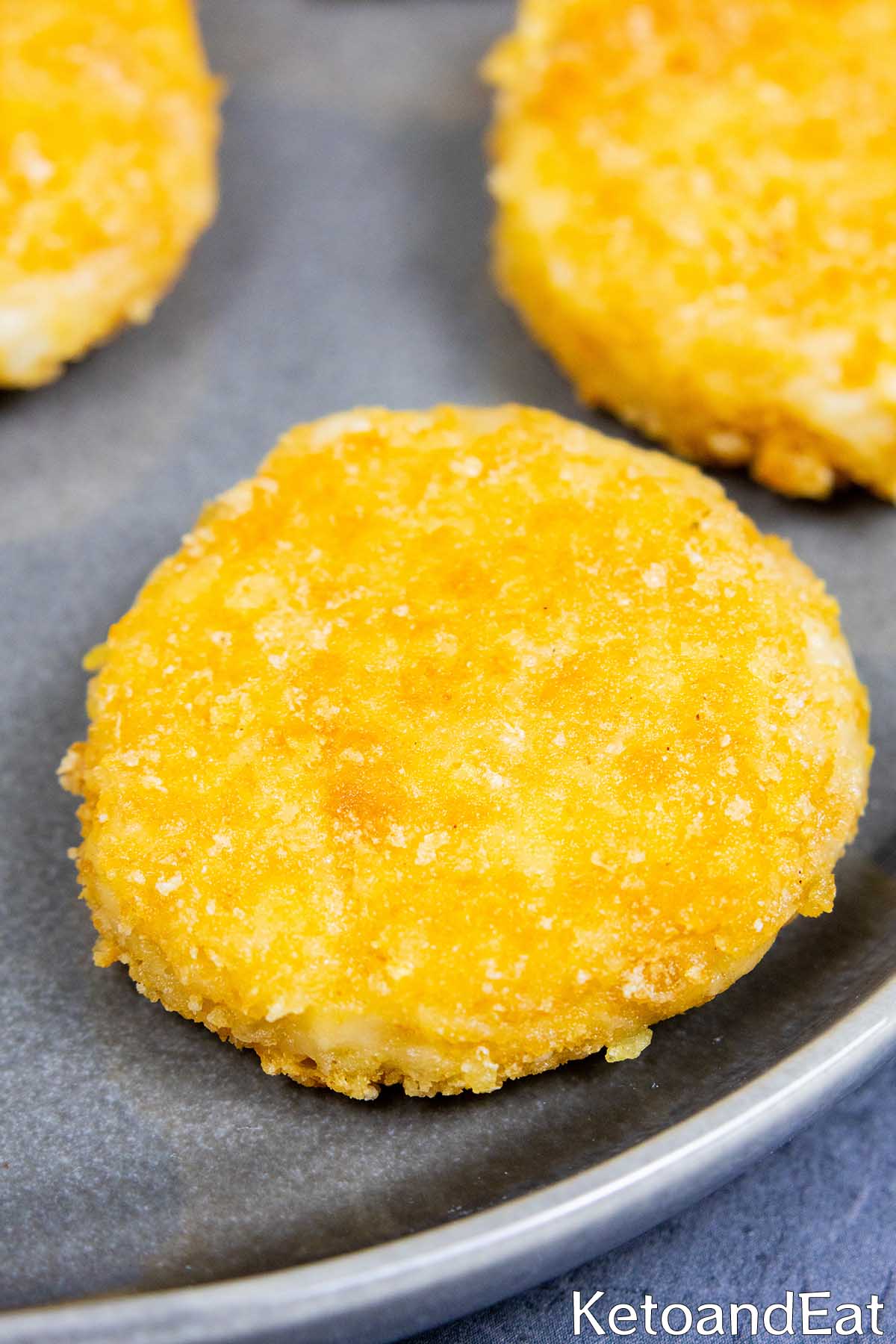 Carnivore Diet Crispy Cheese Bites