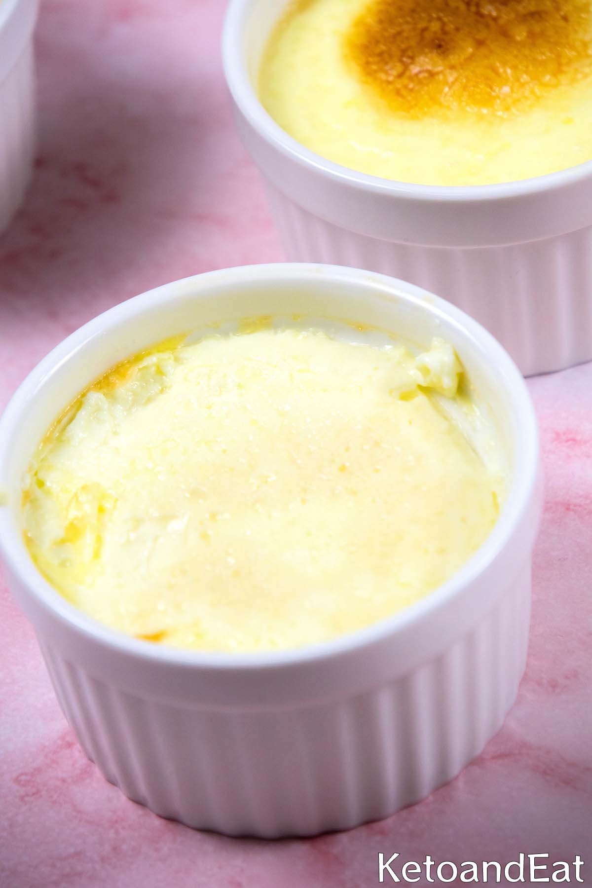 Carnivore Custard
