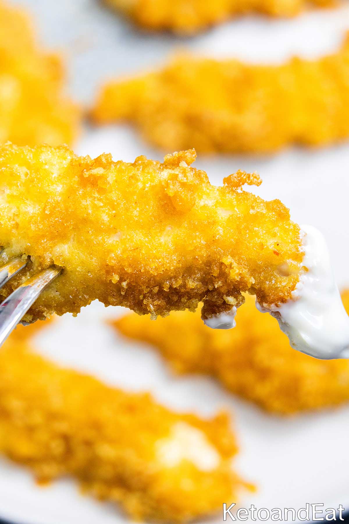 Carnivore Diet Fried Chicken Strips Recipe