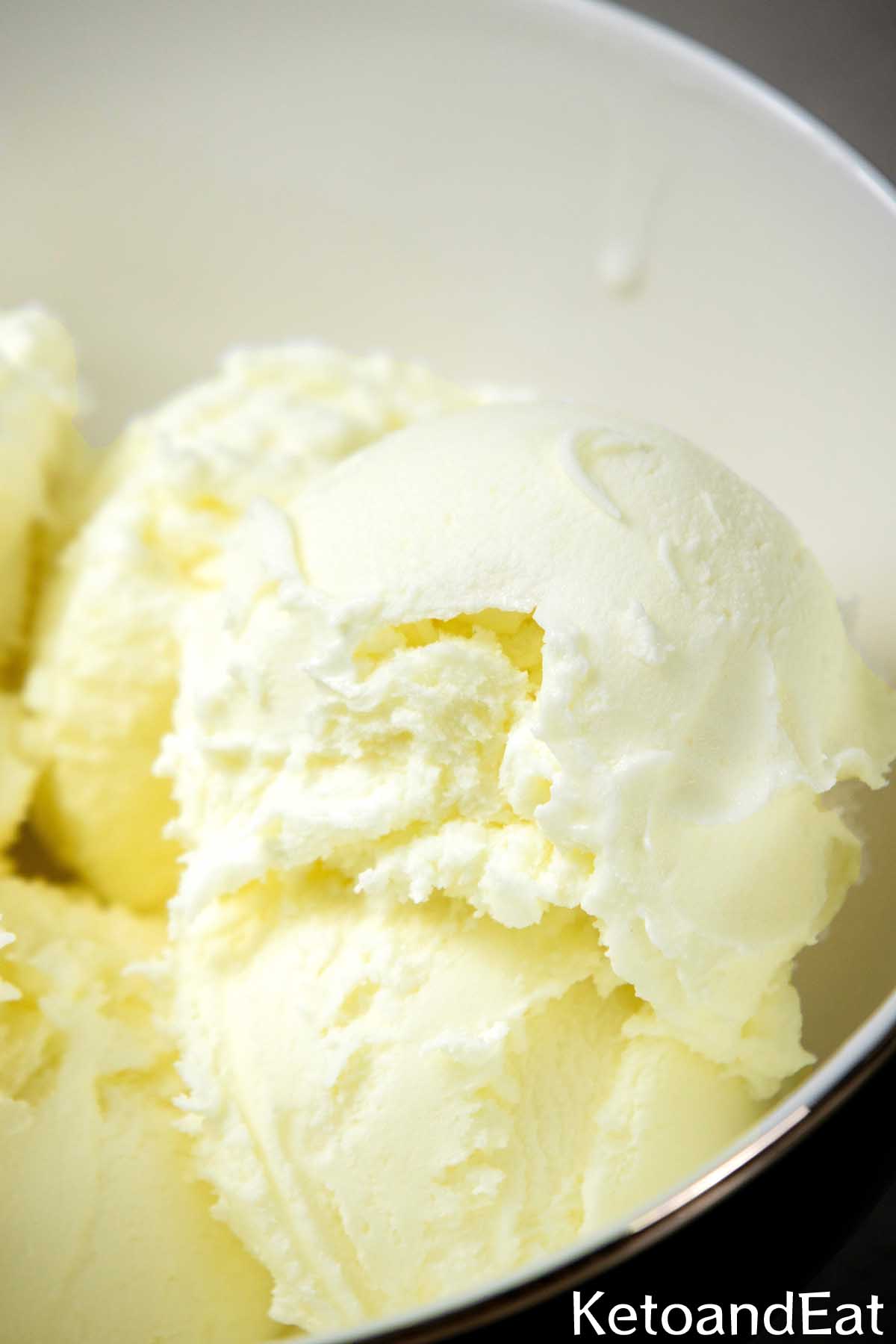 Carnivore Diet Ice Cream