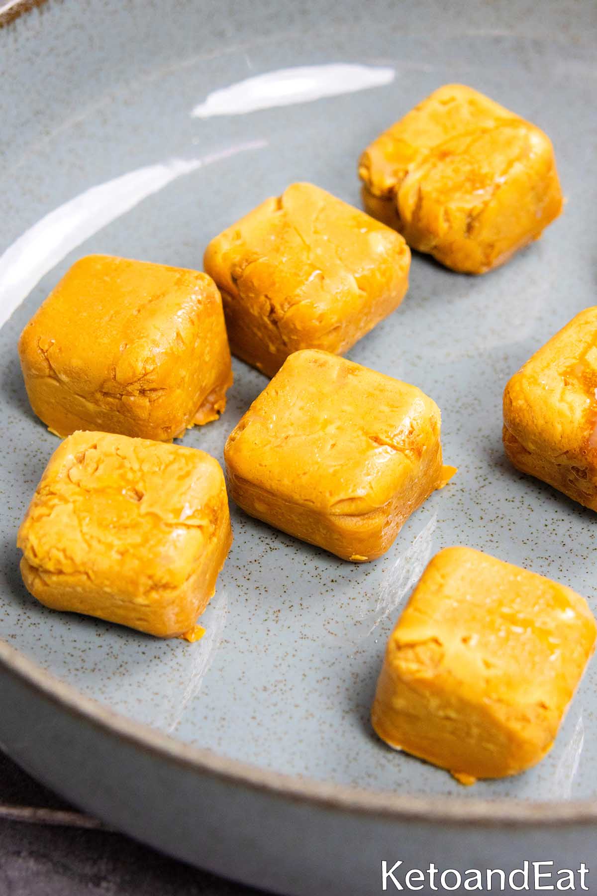 Carnivore Diet Ice Cream Bites