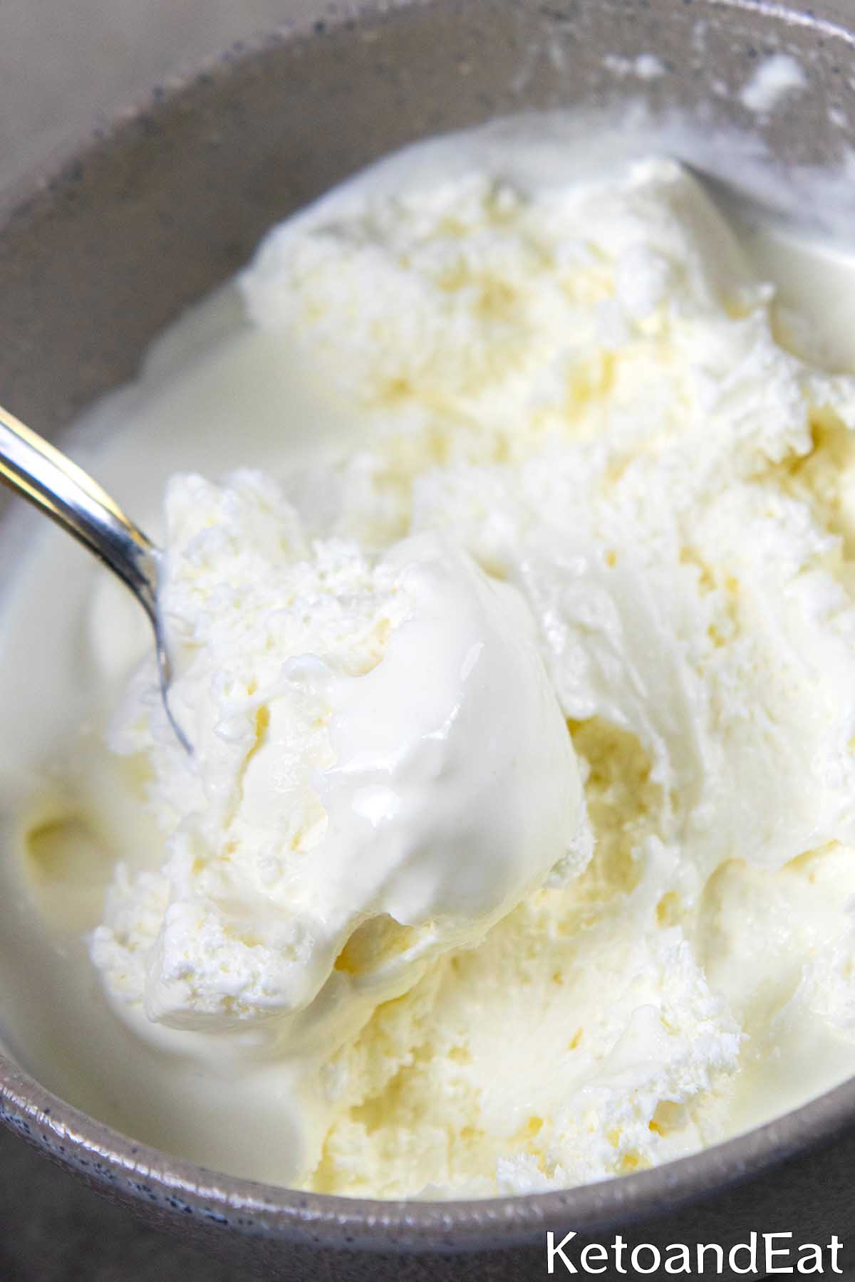 Carnivore Diet Ice Cream