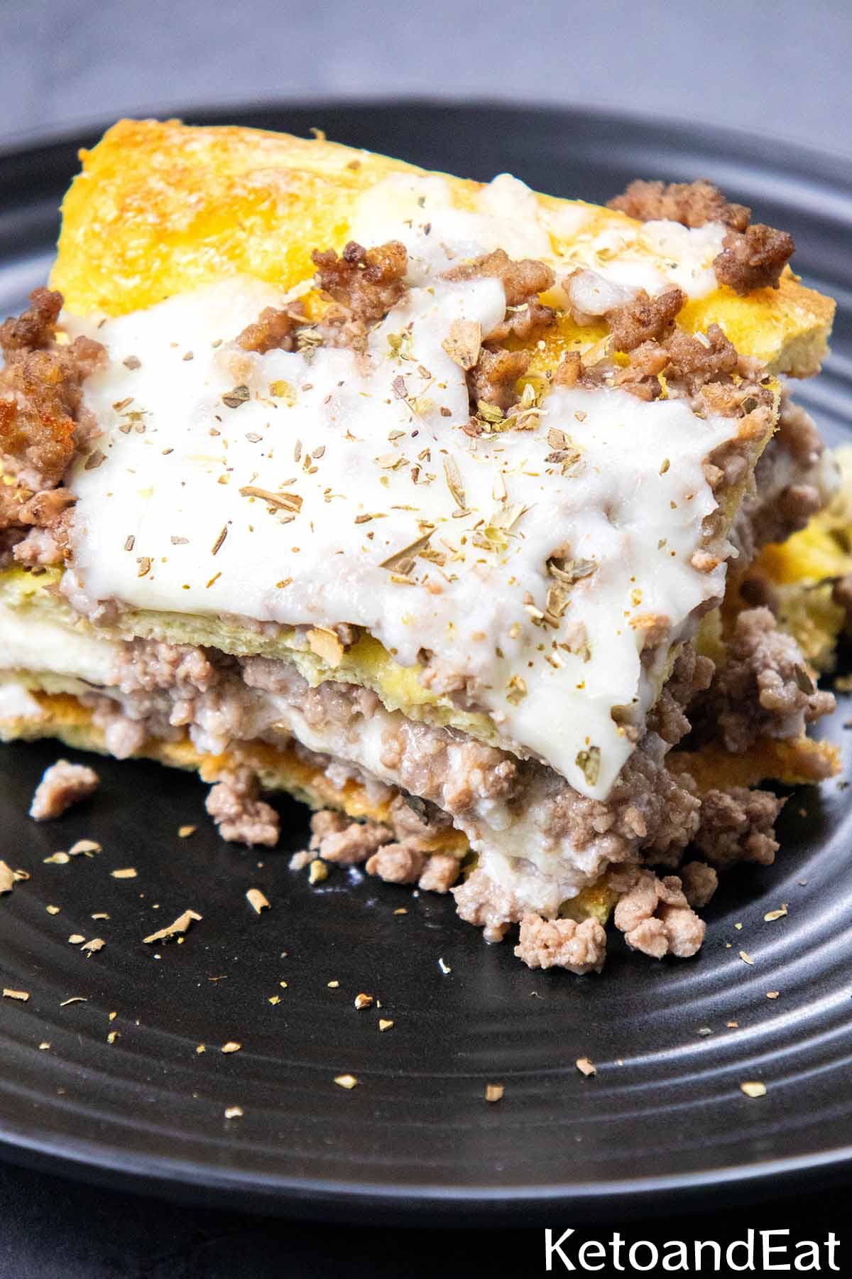 Carnivore Diet Lasagna