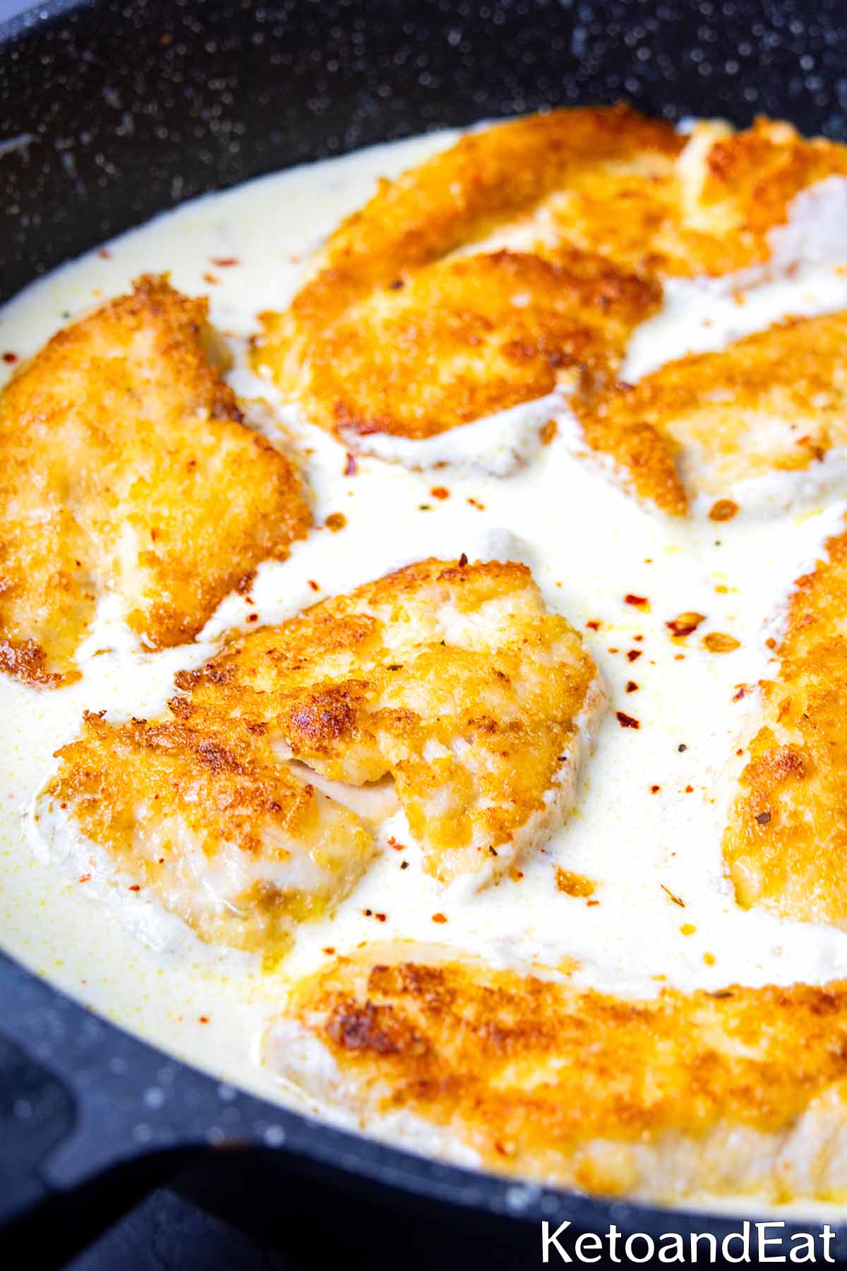 Carnivore Diet One Pan Creamy Chicken