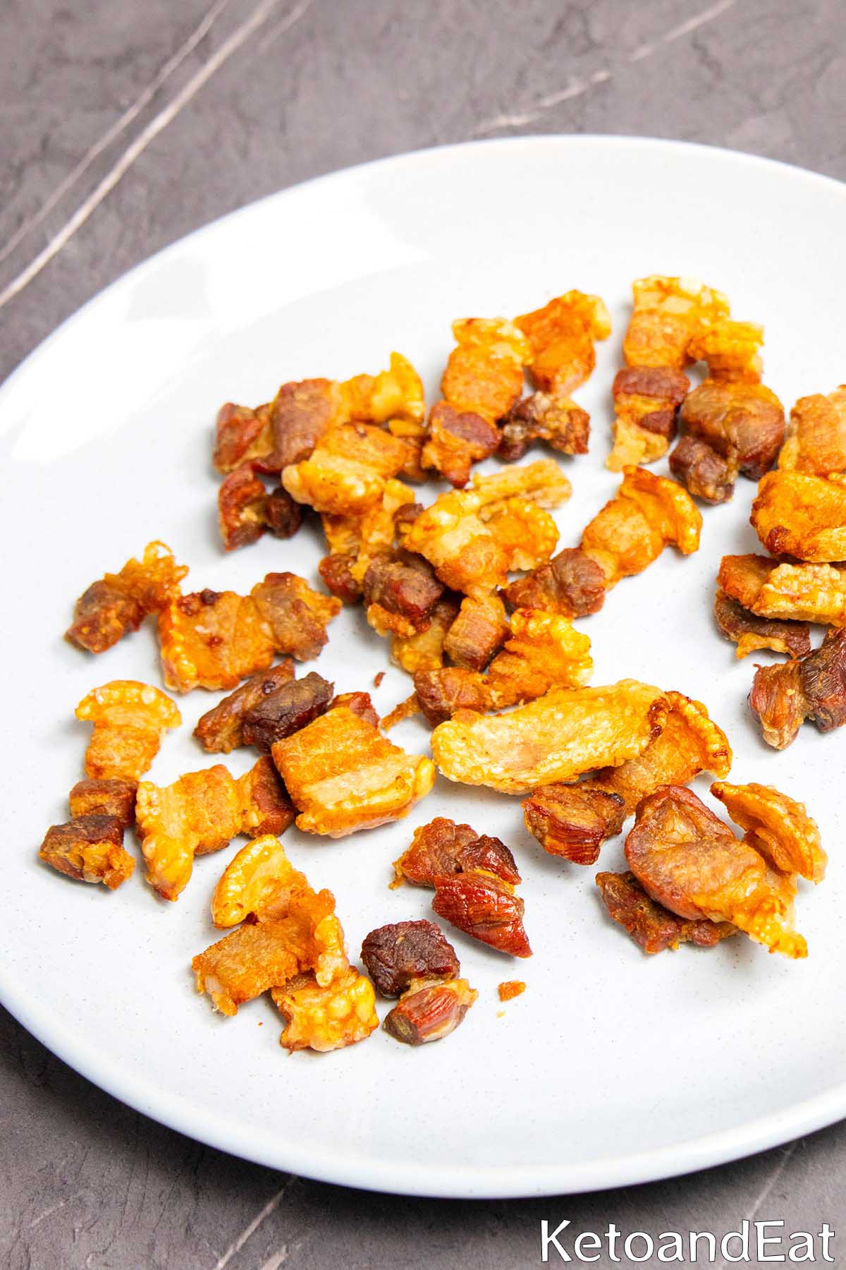 Carnivore Diet Pork Chips