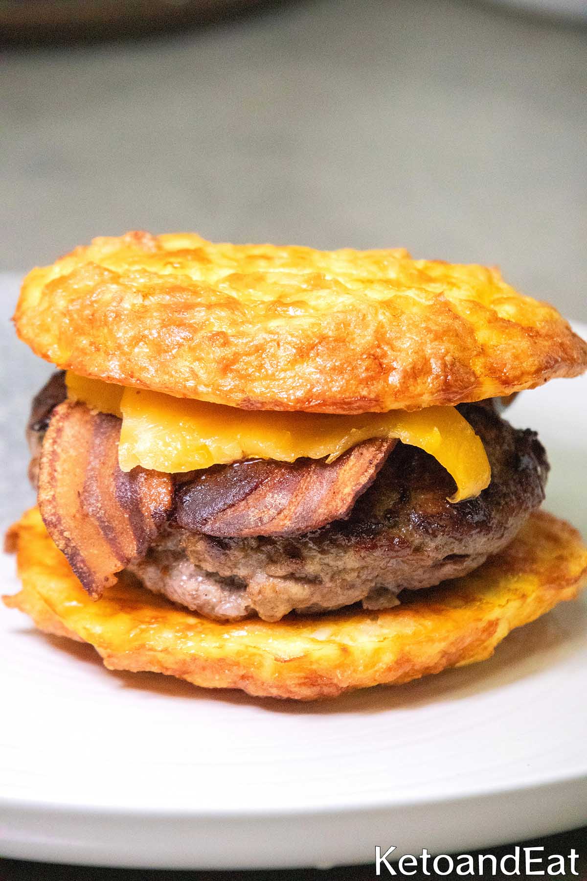 Carnivore Diet Protein Burger