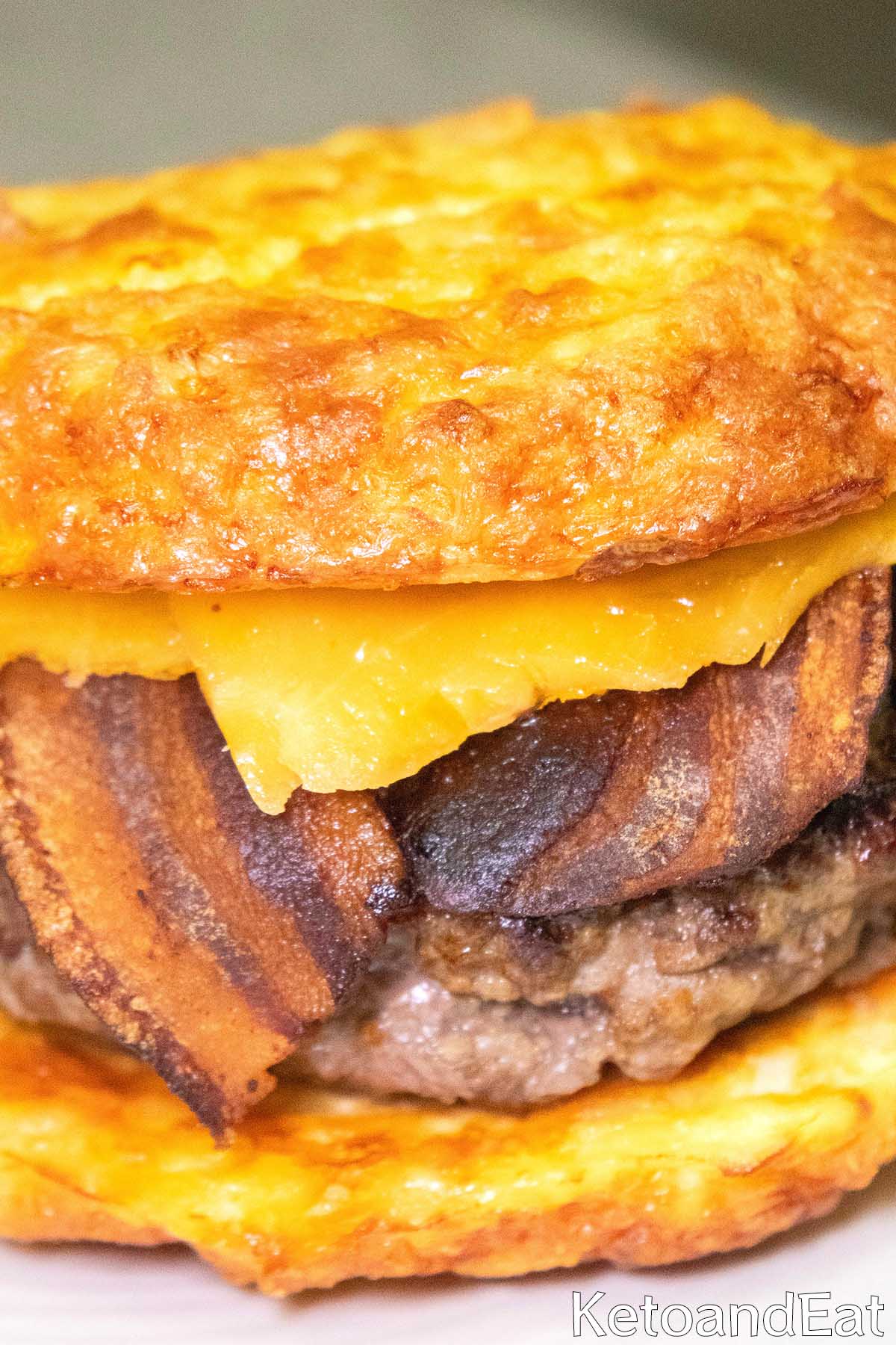 Carnivore Diet Protein Burger