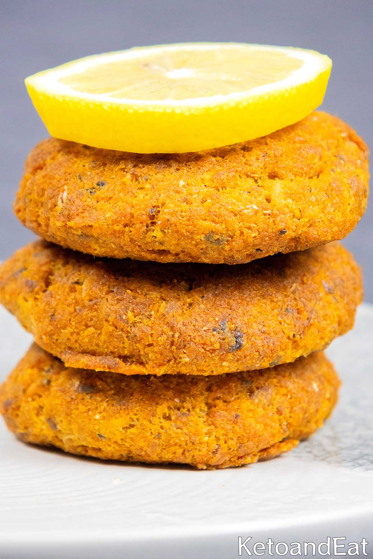 Carnivore Diet Salmon Patties