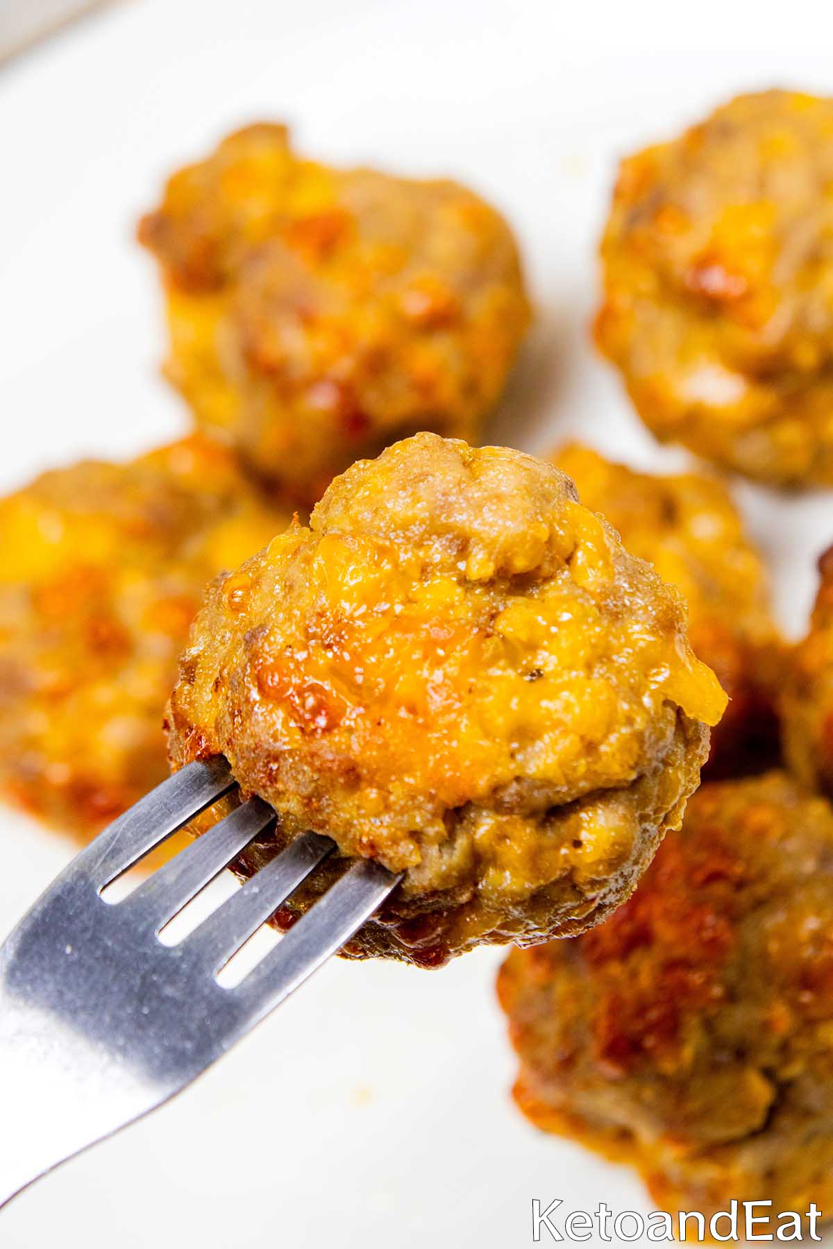 Carnivore Diet Sausage Balls