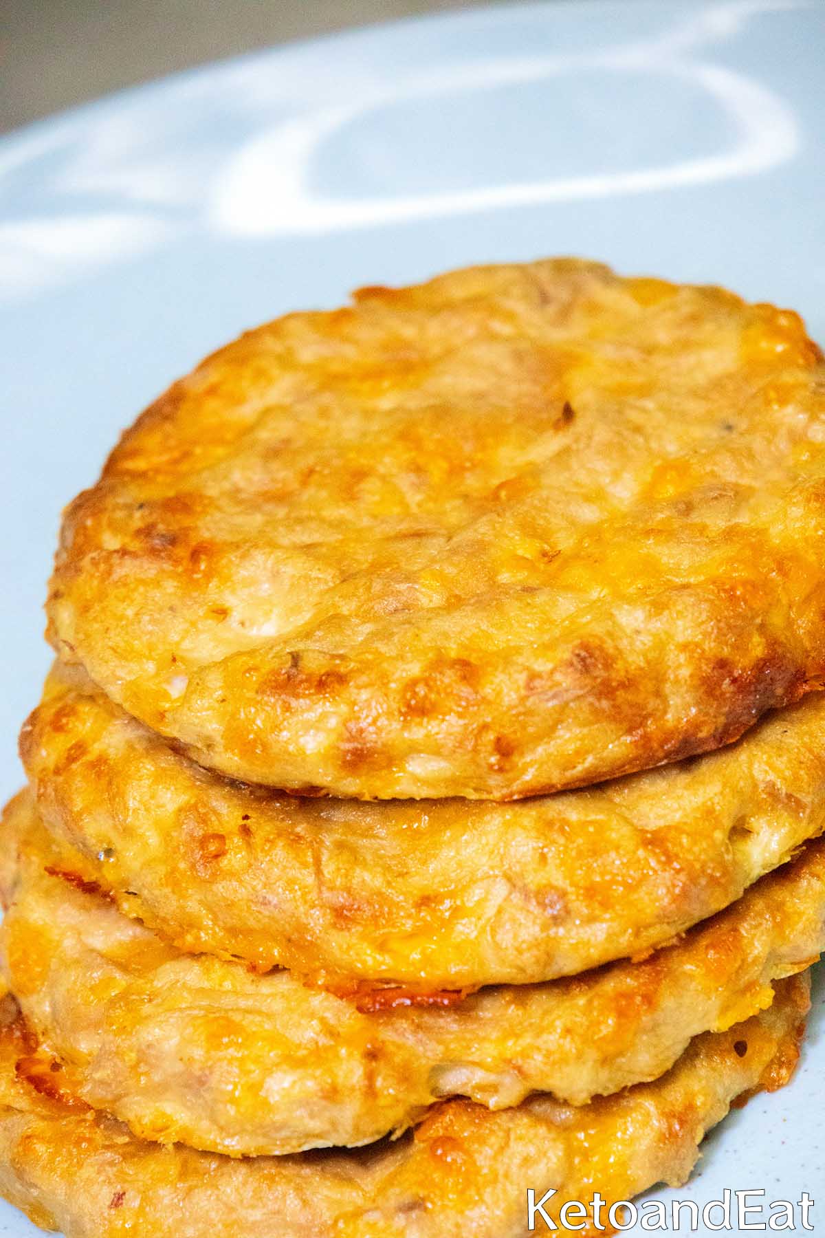 Carnivore Diet Tuna Melt Patties Recipe