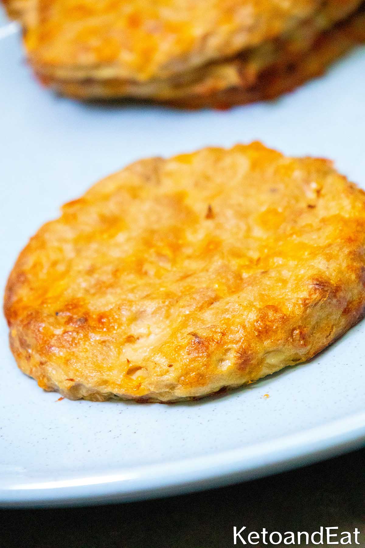 Carnivore Diet Tuna Melt Patties