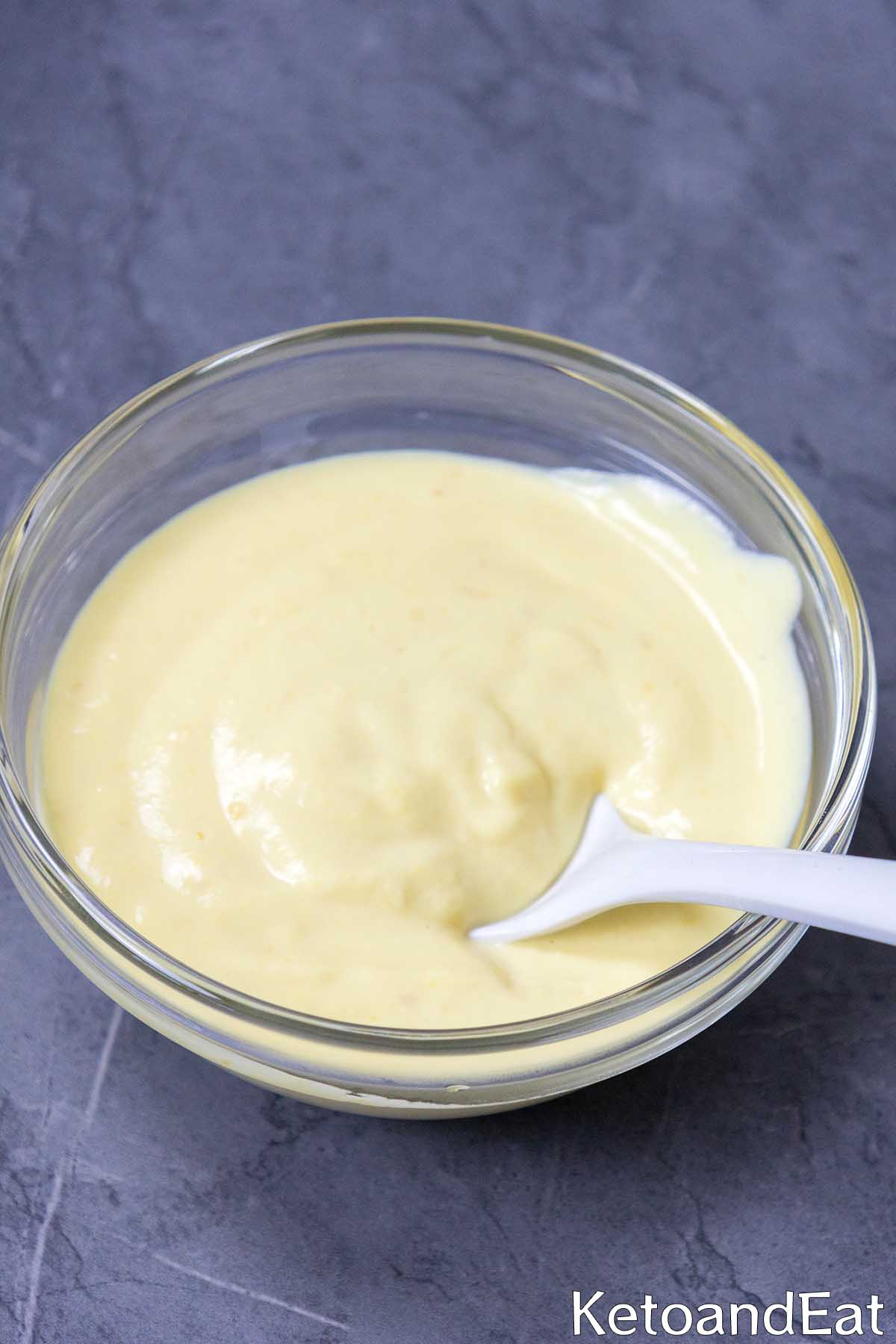 Carnivore Diet Yogurt Hollandaise Sauce Recipe 45