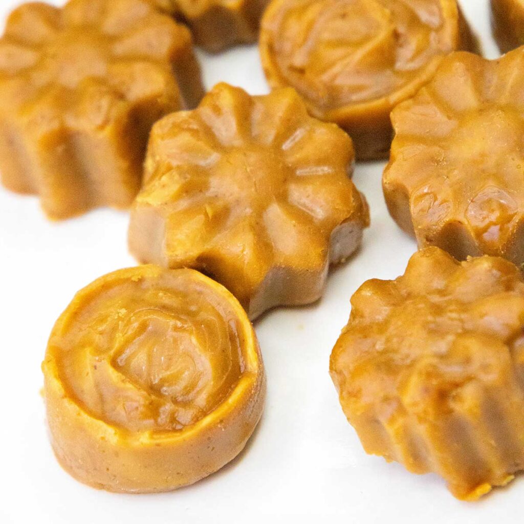 Carnivore Fudge Candies