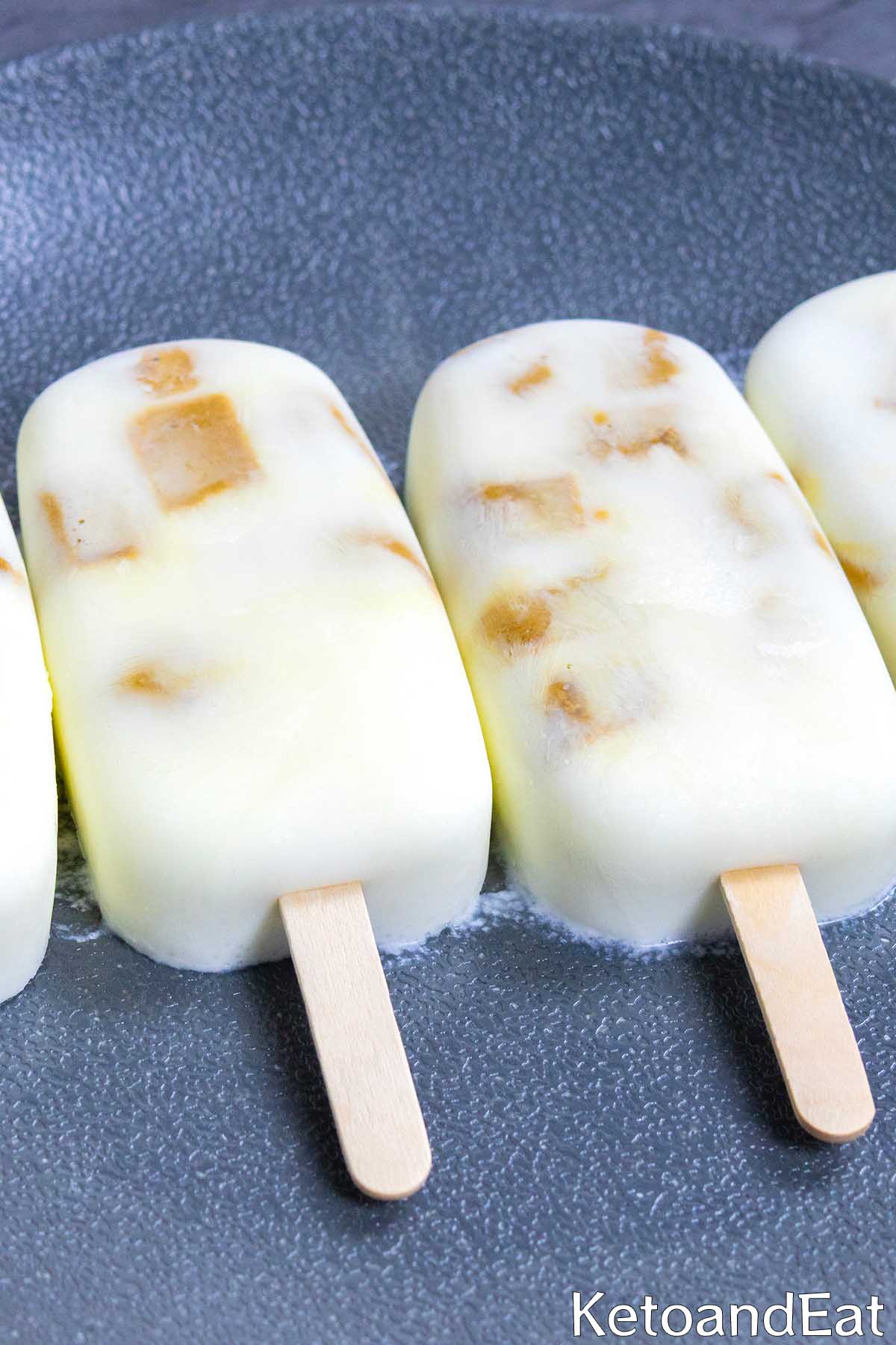 Carnivore Fudge Ice Cream