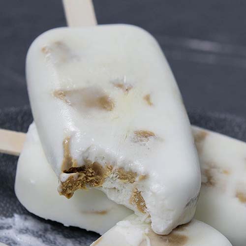 Carnivore Fudge Ice Cream