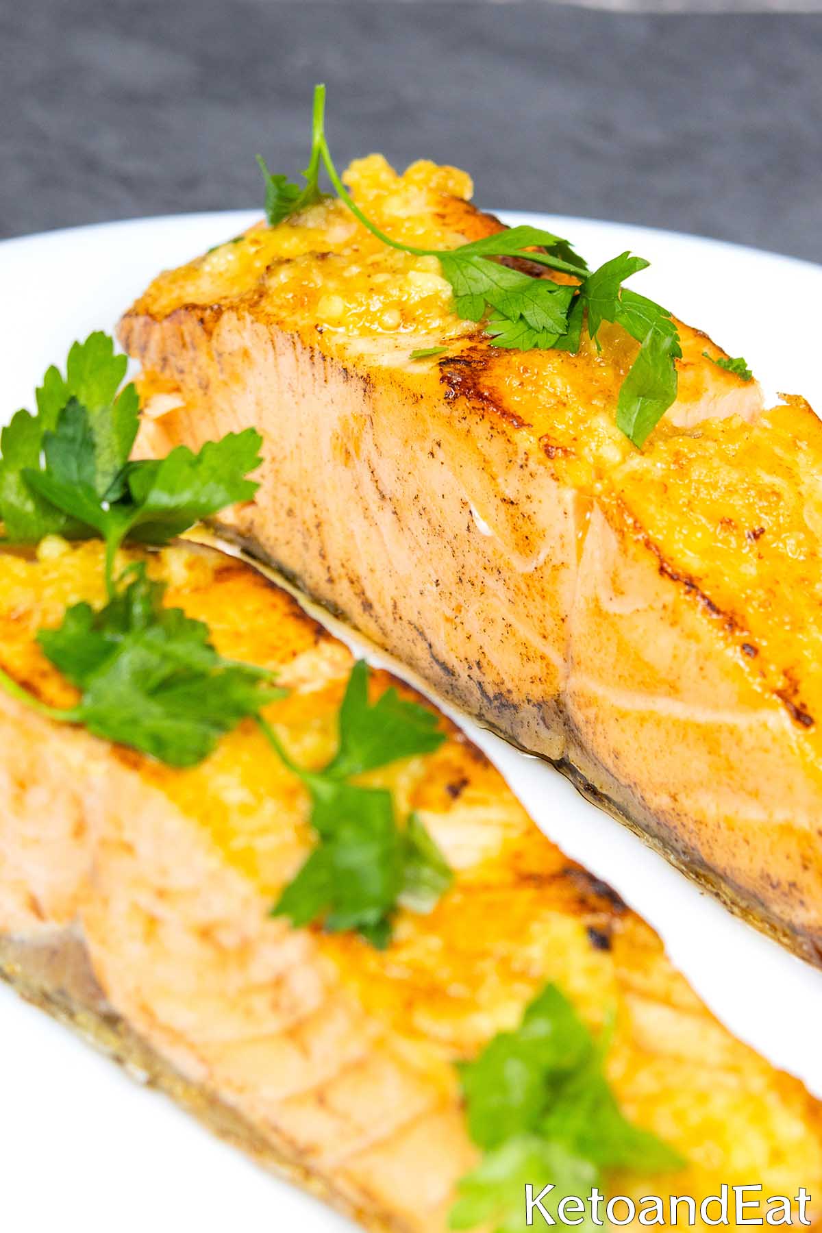 Carnivore Garlic Butter Salmon Recipe