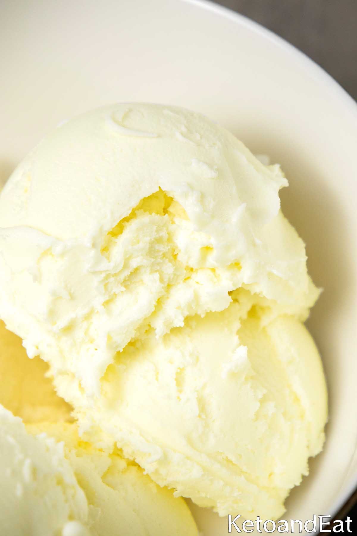  Carnivore Ice Cream