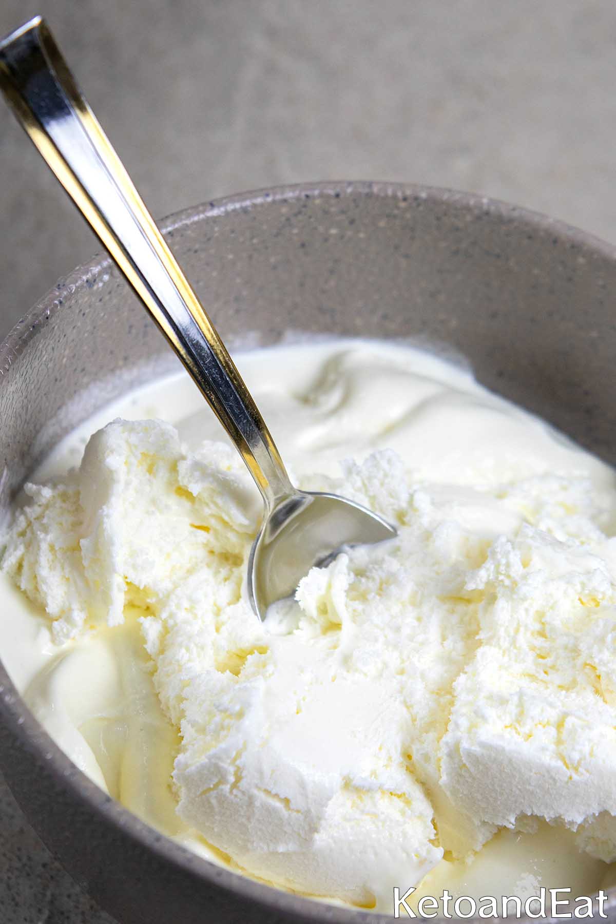 Carnivore Ice Cream