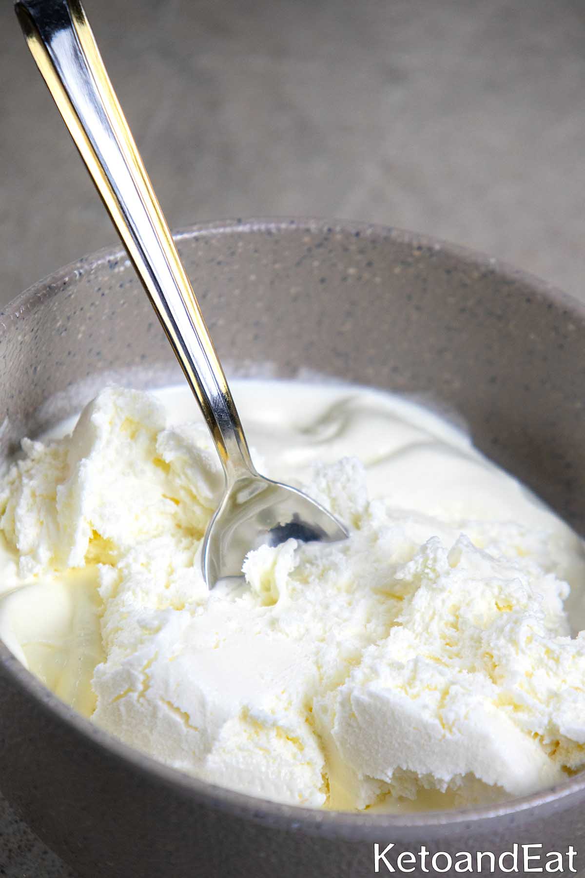 Carnivore Ice Cream