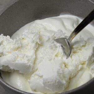 Carnivore Ice Cream