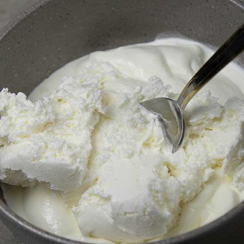 Carnivore Ice Cream